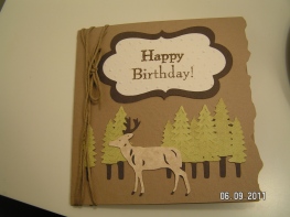 Camp Out Masculine Birthday Card